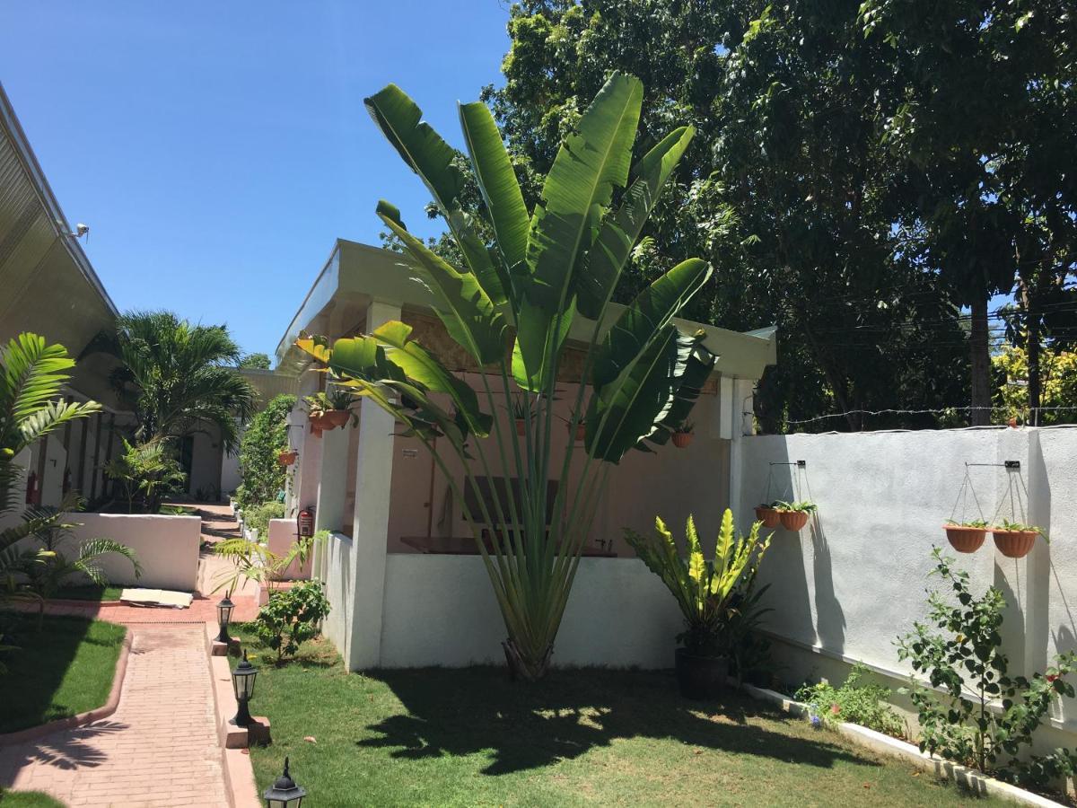 Guest house Alona Gecko