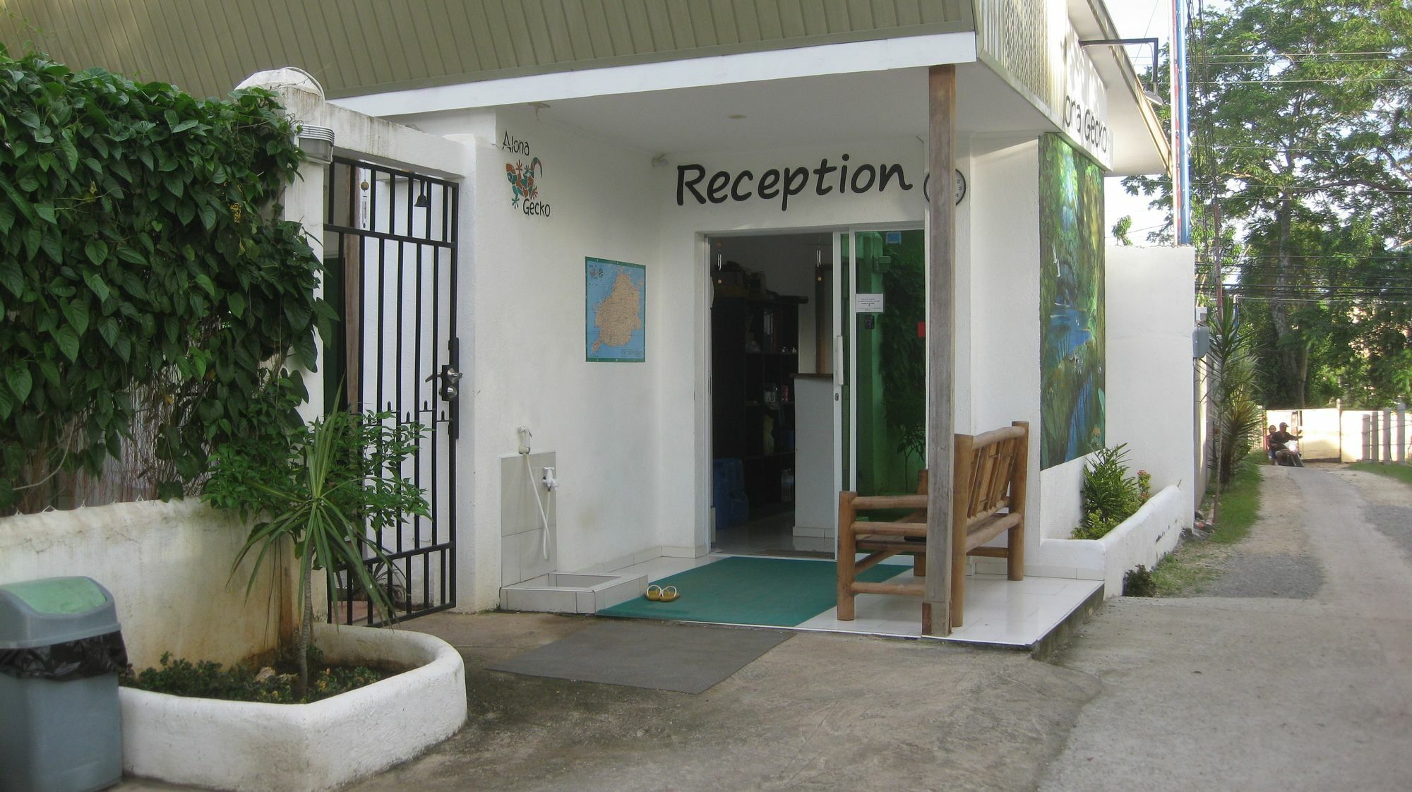 Alona Gecko Panglao